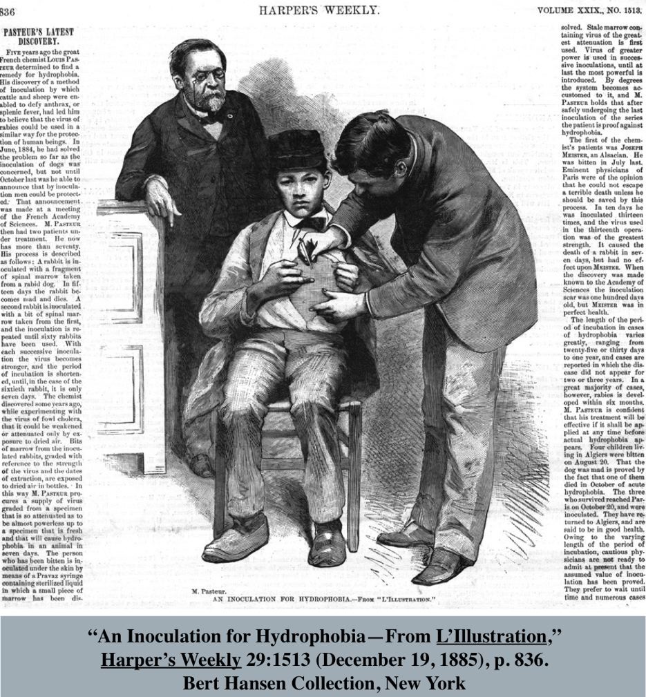 Scan of an article - “An Inoculation for Hydrophobia—From L’Illustration”